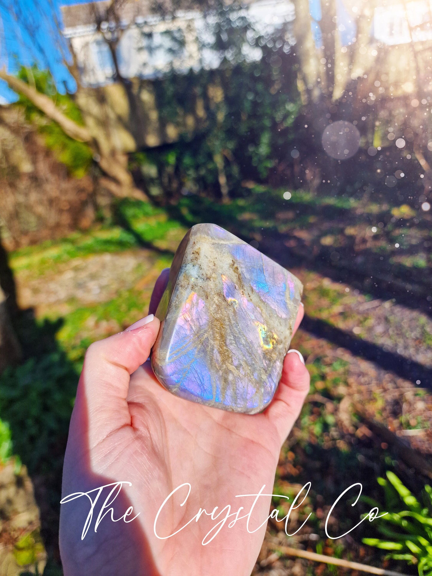 Rainbow Flash, Spectrolite Labradorite, Natural Crystal Freeform