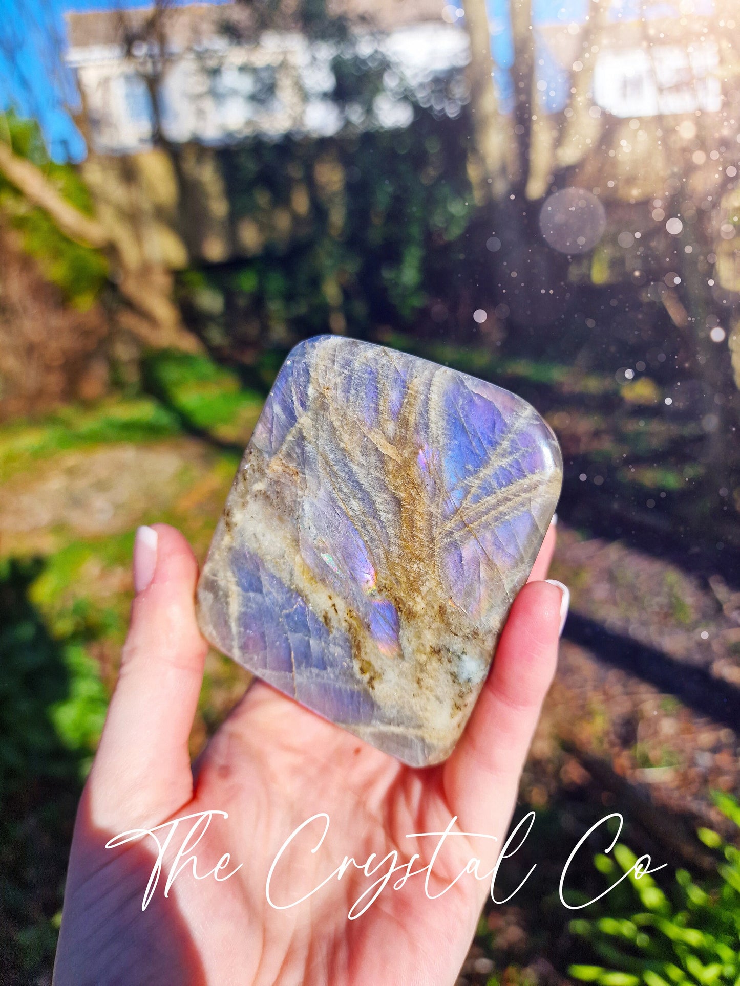 Rainbow Flash, Spectrolite Labradorite, Natural Crystal Freeform