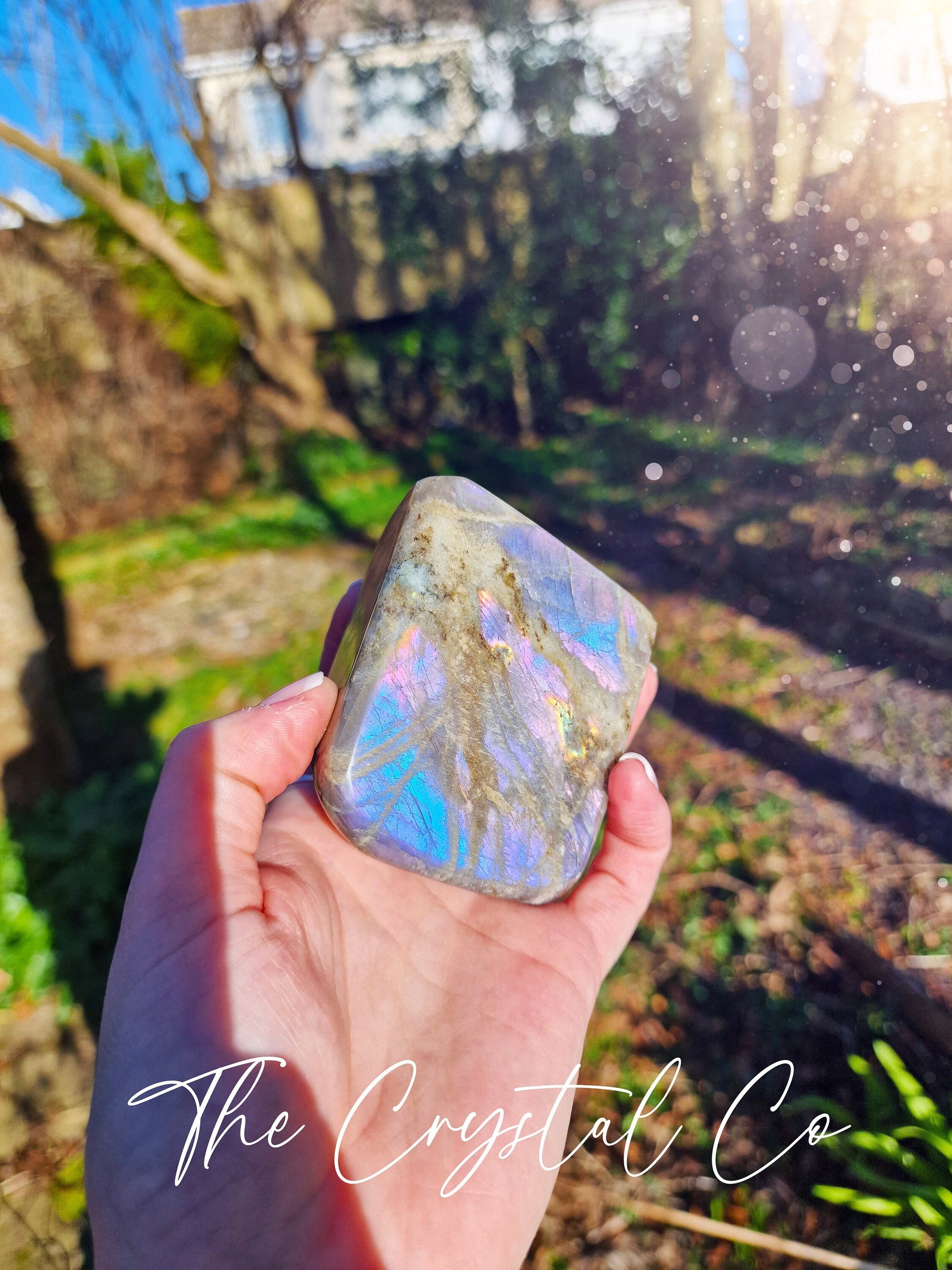 Rainbow Flash, Spectrolite Labradorite, Natural Crystal Freeform