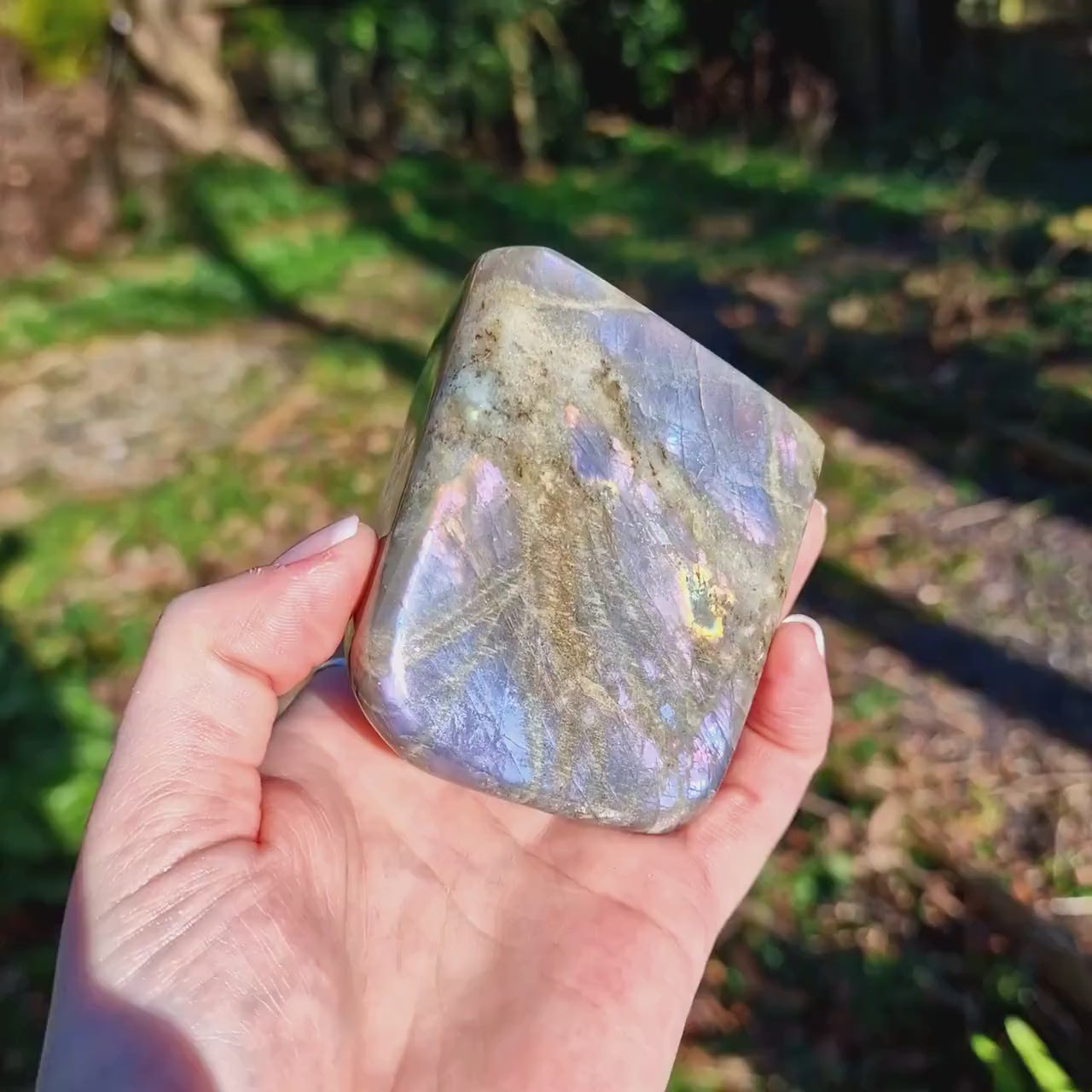 Rainbow Flash, Spectrolite Labradorite, Natural Crystal Freeform